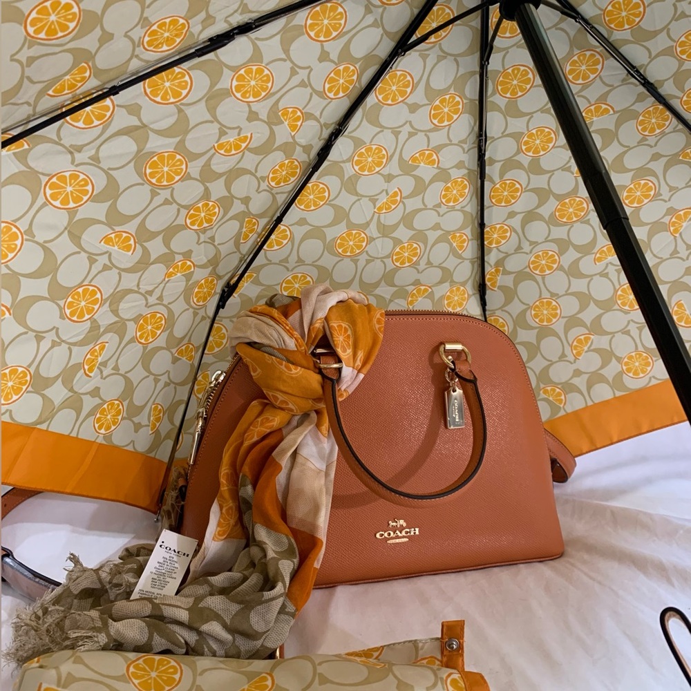 Coach Bag, Coach Scarf & Coach Umbrella! All New and never used!